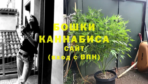 твердый Абаза