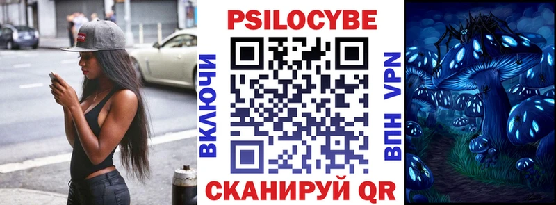 как найти наркотики блэк спрут зеркало Псилоцибиновые грибы Cubensis Шумиха